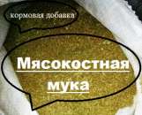 ������� � ����������: ����������� ���� ������, �������� �������.