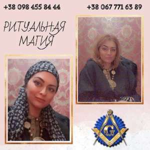 ����������� ����. �������� ����. �������� �������� ����. �������������� �������� ����. ������� �������� ����. - ����������� 1