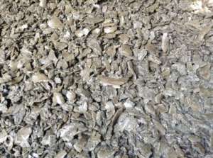 ����������� ���� ������������� - ����������� 1