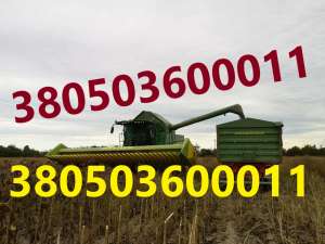 ����������� ����� Sunfloro 4,7 �� ����� ���� - ����������� 1