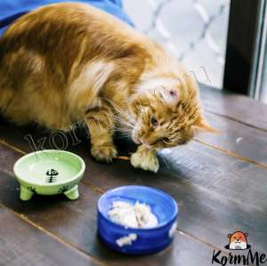 ����������� ����� � ���������� ������� ����� ��������! - ����������� 1