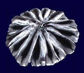 ����������� ����� �� ���� - ����������� 1