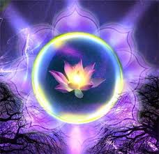 ����������� ����� ����. - ����������� 1