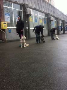 ����������� ����� ����� ����� - ����������� 1