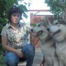 ������� � ����������: ����������� �����, ����� �����. ������� �. �����.