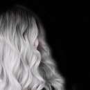 ������� � ����������: ����������� ����� ������ ����� ������ �����������