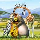 ����������� ����� ��-���� ���������.. ������/����� ������ - �������/�������