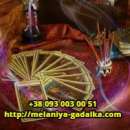 ������� � ����������: �����������. �����. ��������. ��������. ���������. �����.