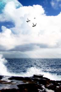 ����������� ����� ��������� �������� ������ - ����������� 1