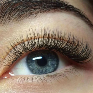 ����������� ������ - ����������� 1