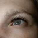 ����������� ������ - ����������� 3