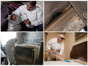 ����������� ������ � ������ � ���������� �������. - ����������� 1