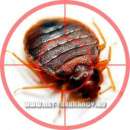 ������� � ����������: ����������� ������ � �������, ����������� ���������� ������ � ��������.