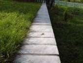 ������� � ����������: ����������� ������ � �.�����������