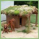 ������� � ����������: ����������� ������ �� ������ : ������� ����� � ������