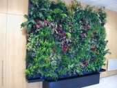 ������� � ����������: ����������� ������ �� ������ : ��������� � ������������ ����������