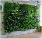 ����������� ������ �� ������ : ��������� � ������������ ���������� - ����������� 2