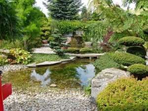 ����������� ������ �� ������ : �����,����� � ������� - ����������� 1