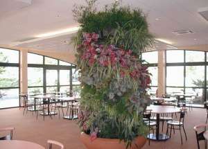 ����������� ������ �� ������ : ������������ ���� � ������� �� ������ - ����������� 1