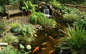 ����������� ������ �� ������ : ������������ ������� - ����������� 1