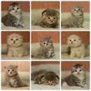 ������� � ����������: ����������� ������ �� ���������