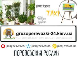 ����������� ������ ��� - ����������� 1