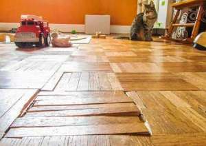 ����������� ������ ����� ��� �����������. ������ � �������� - ����������� 1