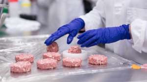 ����������� ������ �����. ������ � ������ - ����������� 1