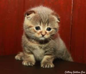 ����������� ������ ������ � ������������ ������� - ����������� 1