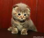 ������� � ����������: ����������� ������ ������ � ������������ �������