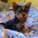 ����������� ������ �������� - ����������� 3