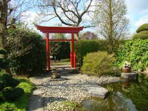 ����������� ������ �������� - ����������� 1