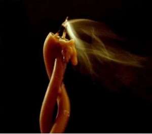 ����������� ������ �������� ���� ������ ���������� �����. - ����������� 1