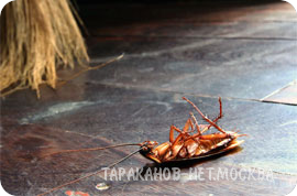 ����������� ������ ��������, ��������, �����, ����� ������ ���������. - ����������� 1