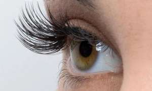 ����������� ������ �������� ��������������, ��������� ���������������� ���� �������������� - ����������� 1