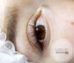 ����������� ������, ��������� ���������� ������, ������. - ����������� 3