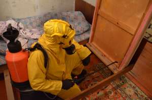 ����������� ������ . �����������. - ����������� 1