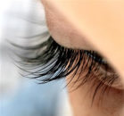 ������� � ����������: ����������� ������ �������������� ���������������� ���� �������� ���� � 2006 ����, �� ������