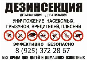 ����������� ������� - ����������� 1