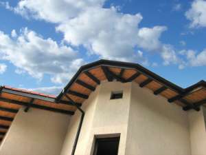 ����������� ������� REGENAU (�������). - ����������� 1