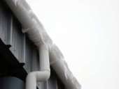 ����������� ������� REGENAU (�������). - ����������� 2