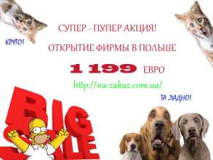 ����������� ������� � ������. ����� ������ ����. - ����������� 1