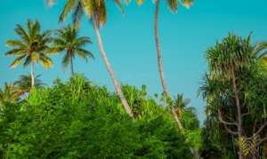 �����������, ������� � ���������� - ����������� 1