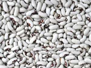 ����������� ������� � ���������� - ����������� 1