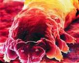 ����������� ������� �� �������� ������ � �������� - ����������� 2