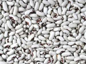 ����������� ������� �� ���������. - ����������� 1