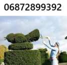 ����������� ������� ��� � ������ ���� �������� �����! - ����������� 1