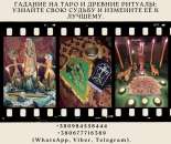 ����������� ������� | ���� | ������� - ����������� 3