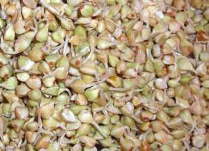 ����������� ������� ������ - ����������� 1