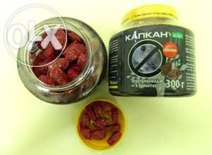 ����������� ������� `������ - ����������� 1